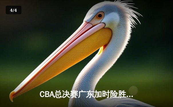 CBA总决赛广东加时险胜辽宁 胡明轩砍33分率队夺赛点 - 4
