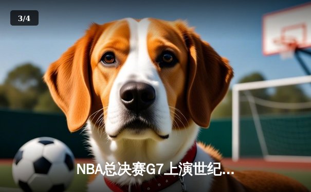 NBA总决赛G7上演世纪逆转 独行侠加时险胜凯尔特人夺队史第二冠 - 3